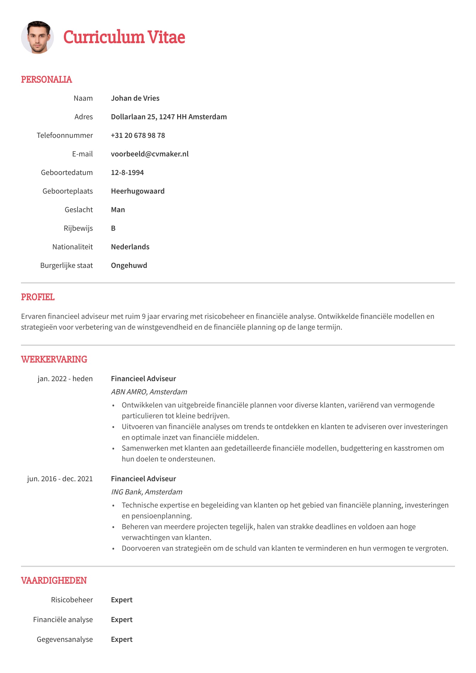 Simpel cv voorbeeld